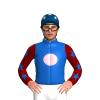 Jockey Silk