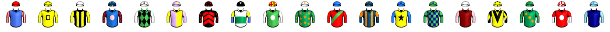 Runner silk