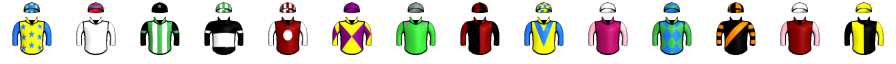 Runner silk