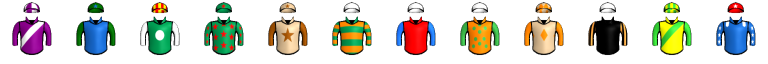 Runner silk