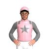 Jockey Silk