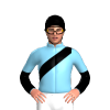 Jockey Silk