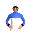 Jockey Silk