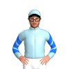Jockey Silk