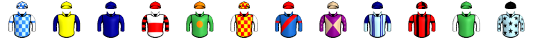 Runner silk