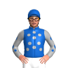 Jockey Silk