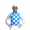 Jockey Silk