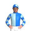Jockey Silk