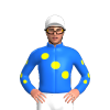 Jockey Silk