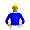 Jockey Silk