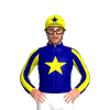 Jockey Silk