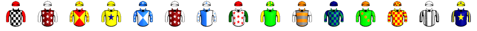 Runner silk