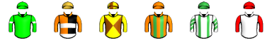 Runner silk