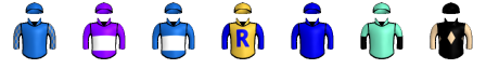 Runner silk