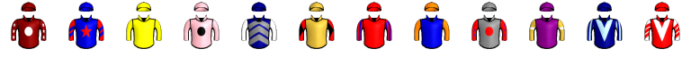 Runner silk