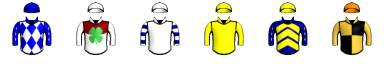 Runner silk