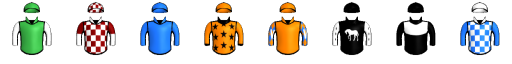 Runner silk