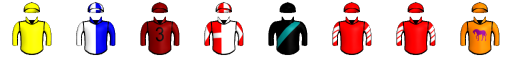 Runner silk