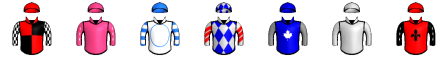 Runner silk