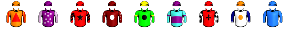 Runner silk