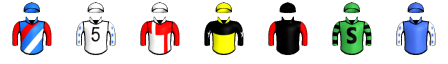 Runner silk