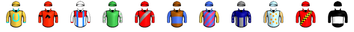 Runner silk