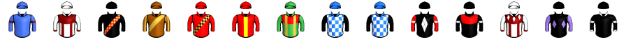 Runner silk