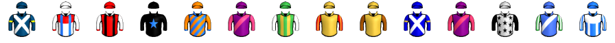 Runner silk