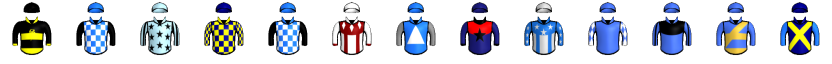 Runner silk