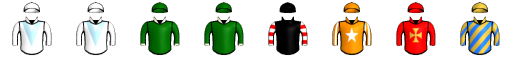 Runner silk