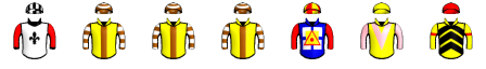 Runner silk