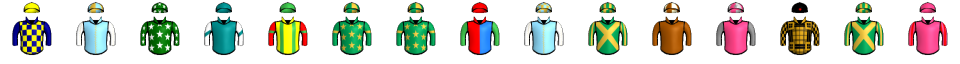 Runner silk