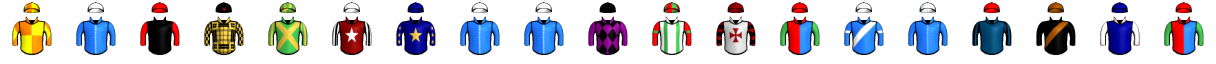 Runner silk