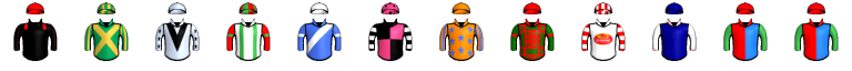 Runner silk