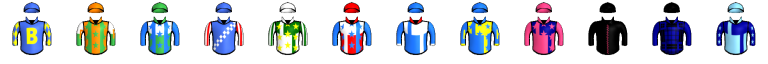 Runner silk