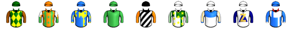 Runner silk