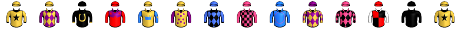 Runner silk