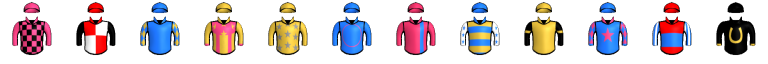 Runner silk