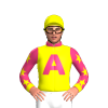 Jockey Silk