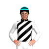 Jockey Silk