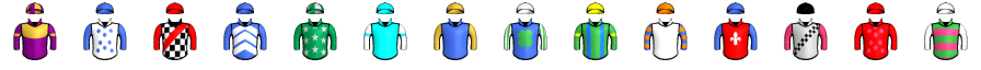 Runner silk