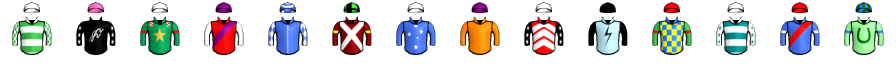 Runner silk