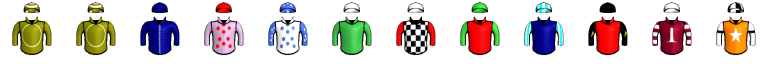 Runner silk