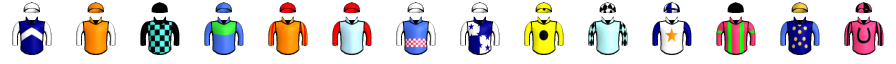 Runner silk