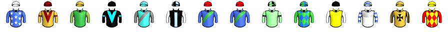 Runner silk