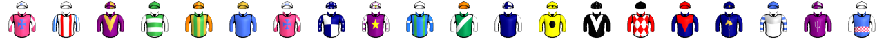 Runner silk