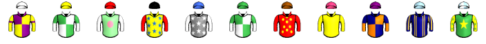 Runner silk