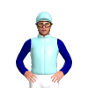 Jockey Silk