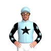 Jockey Silk