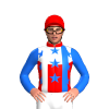 Jockey Silk